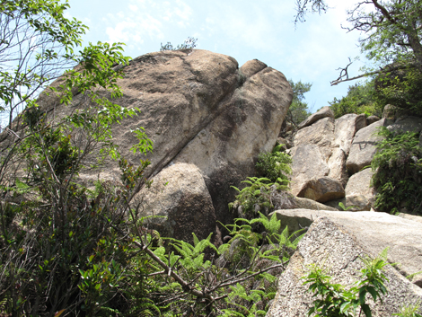 20140602hike (162)